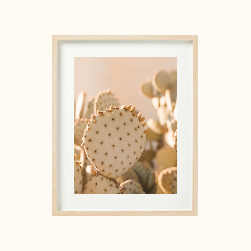 Cute But Prickly Art Print