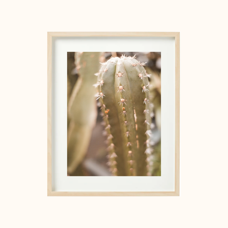 Boho cactus art plant print photographed by Yucca Society in Nashville, Tennessee